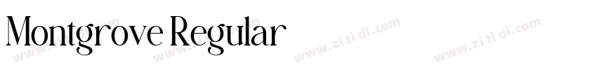 Montgrove Regular字体转换